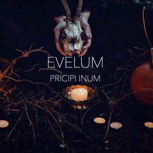 Pricipi <b>Inum</b> - Album by Evelum | Spotify