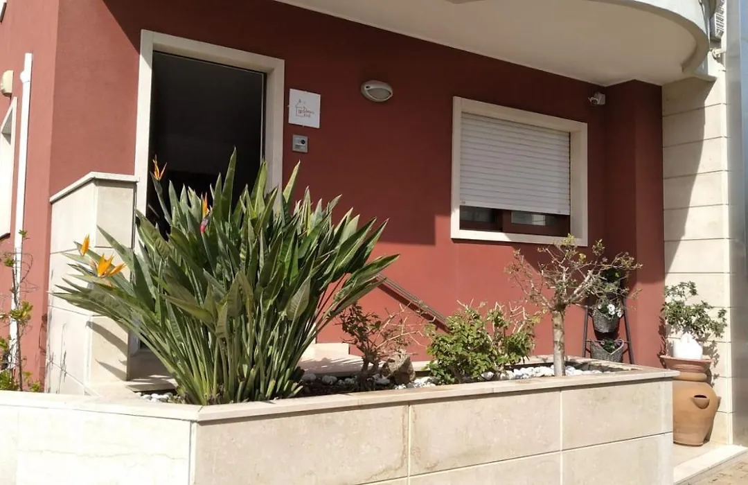 Domus B&B-1