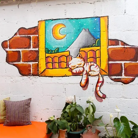 Casa Tamarindo-2