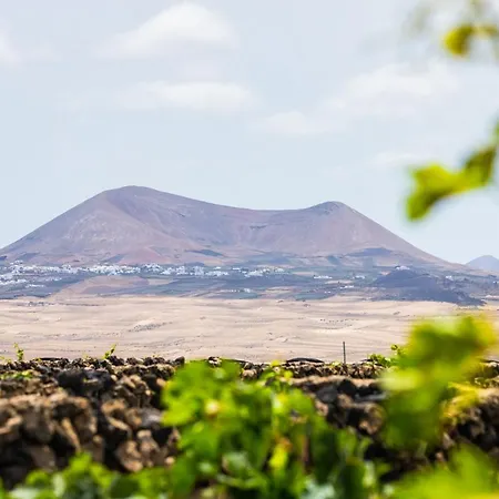 Eslanzarote Eco Dome Experience-2