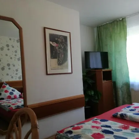 Hotel Zur Rose-2