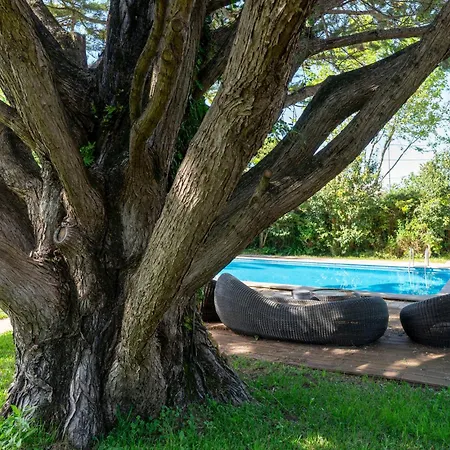 Villa das Rosas-3