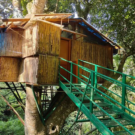 Tipperary Treehouse With Valley View-3