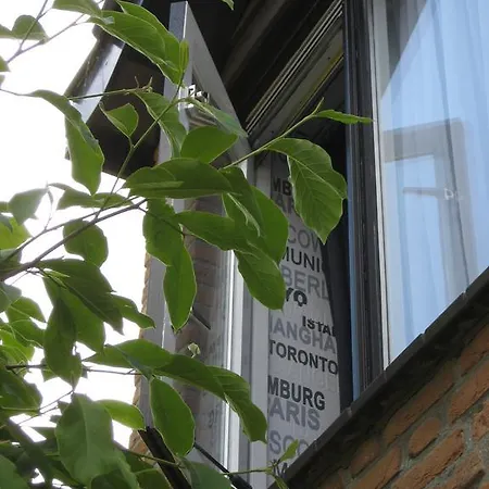 Bed&Breakfast De Mozaiektegel Uden-3