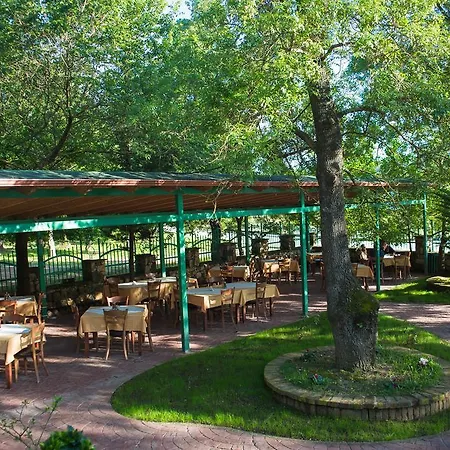 Hotel Livia-3